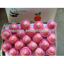 Manzana fuji Yantai